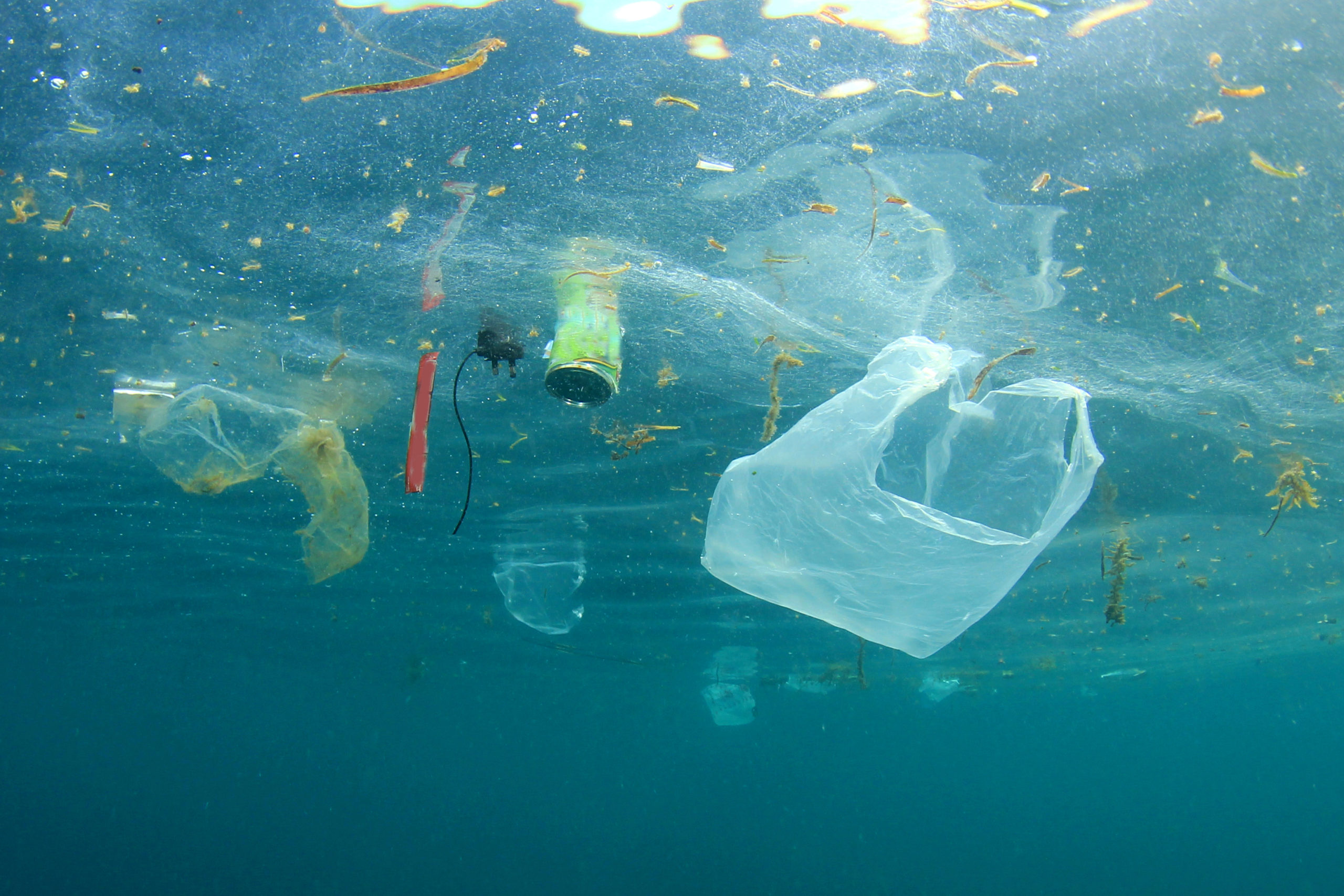 Plastikmüll im Meer