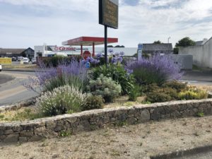 Bepflanzte Verkehrsinsel vor Tankstelle in Plougasnou | Bretagne