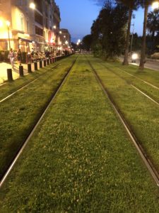 Straßenbahngleise im Rasenbett in Nizzas Altstadt
